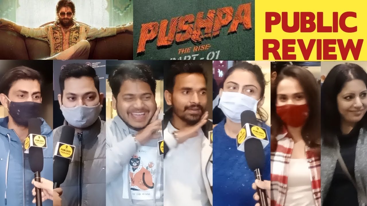 Pushpa: The Rise Public  Review | Pushpa Public Reaction | Allu Arjun | Rashmika Mandanna | Punjabi