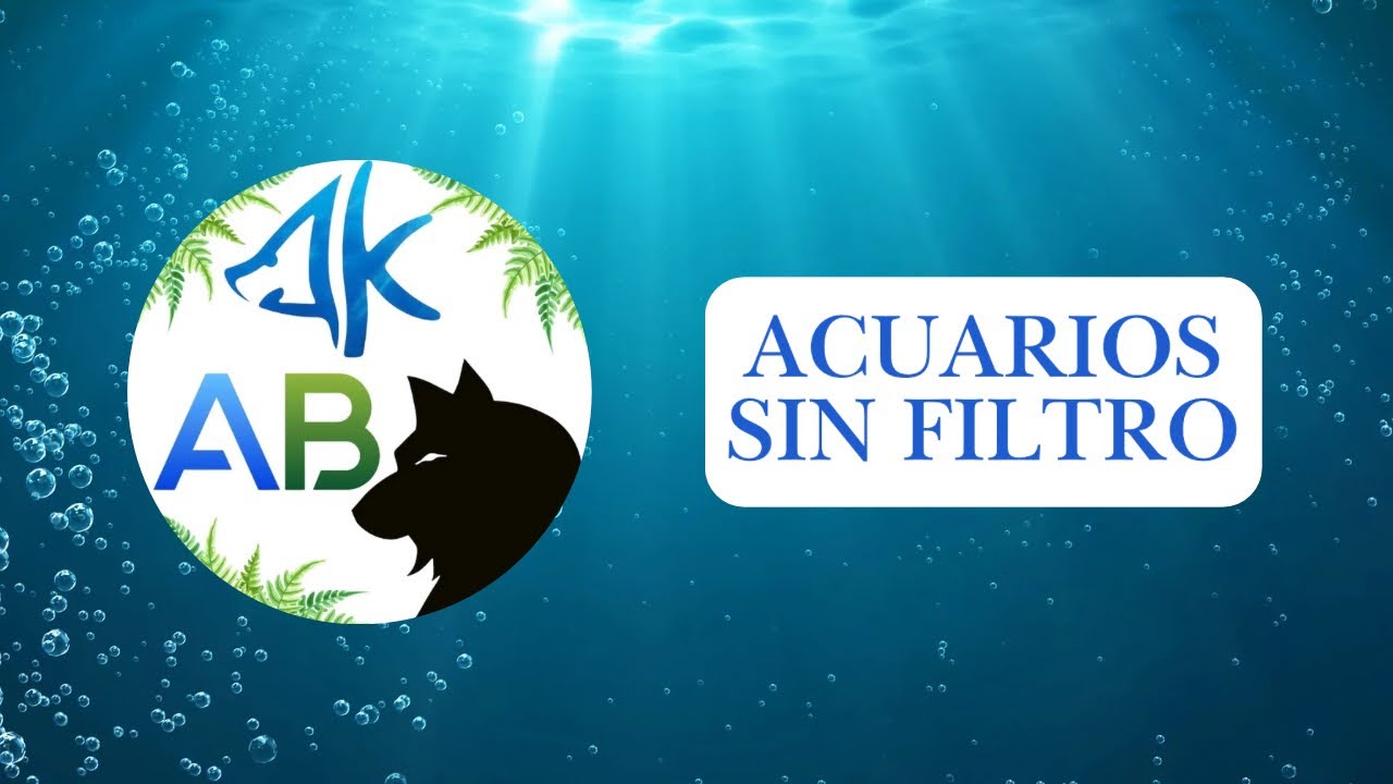 CÓMO OPTIMIZAR la CIRCULACIÓN del AGUA en tu ACUARIO 💦 | Flujo, Corriente y Zonas Muertas | ACUARIO