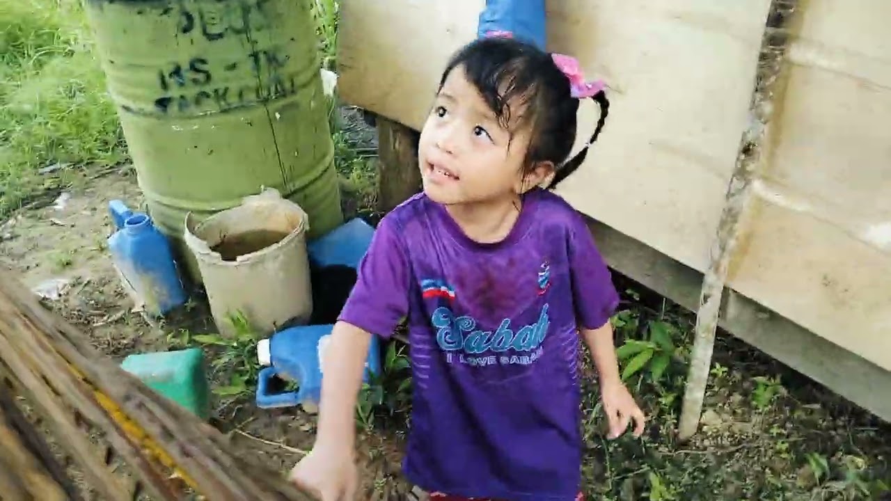 pigi ladang