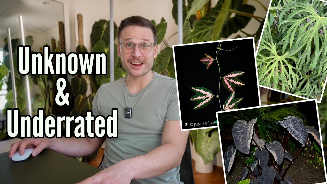 Untrendy Plants: What Growers want to Grow (not what SELLERS want to SELL)