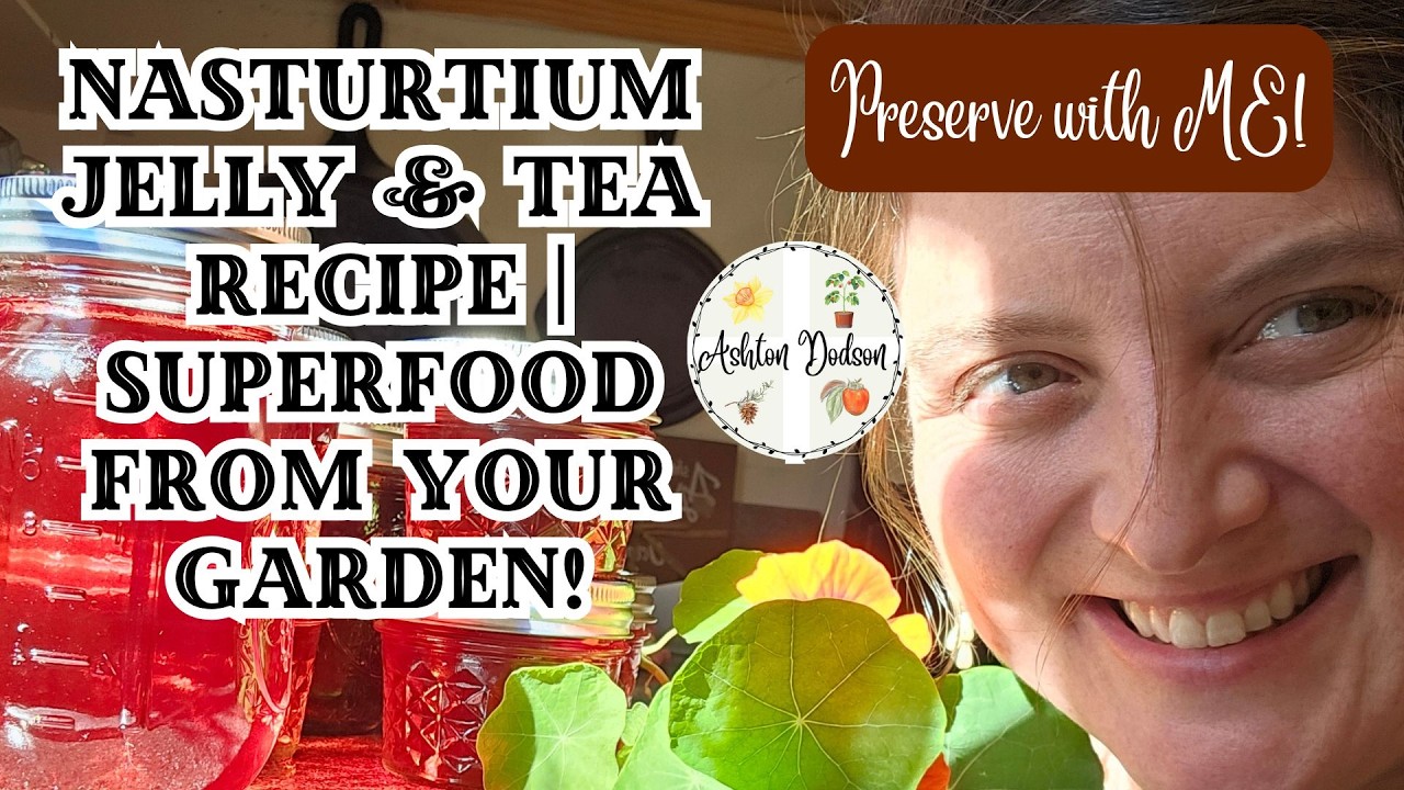 Nasturtium Jelly and Tea Recipe/ Superfood From the Garden