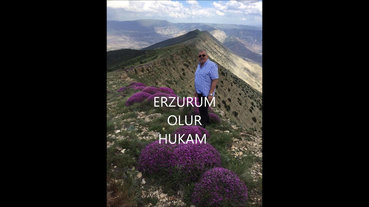DURSUN ŞAHİN  H&Uuml;KAM(TaşLlk&ouml;y)