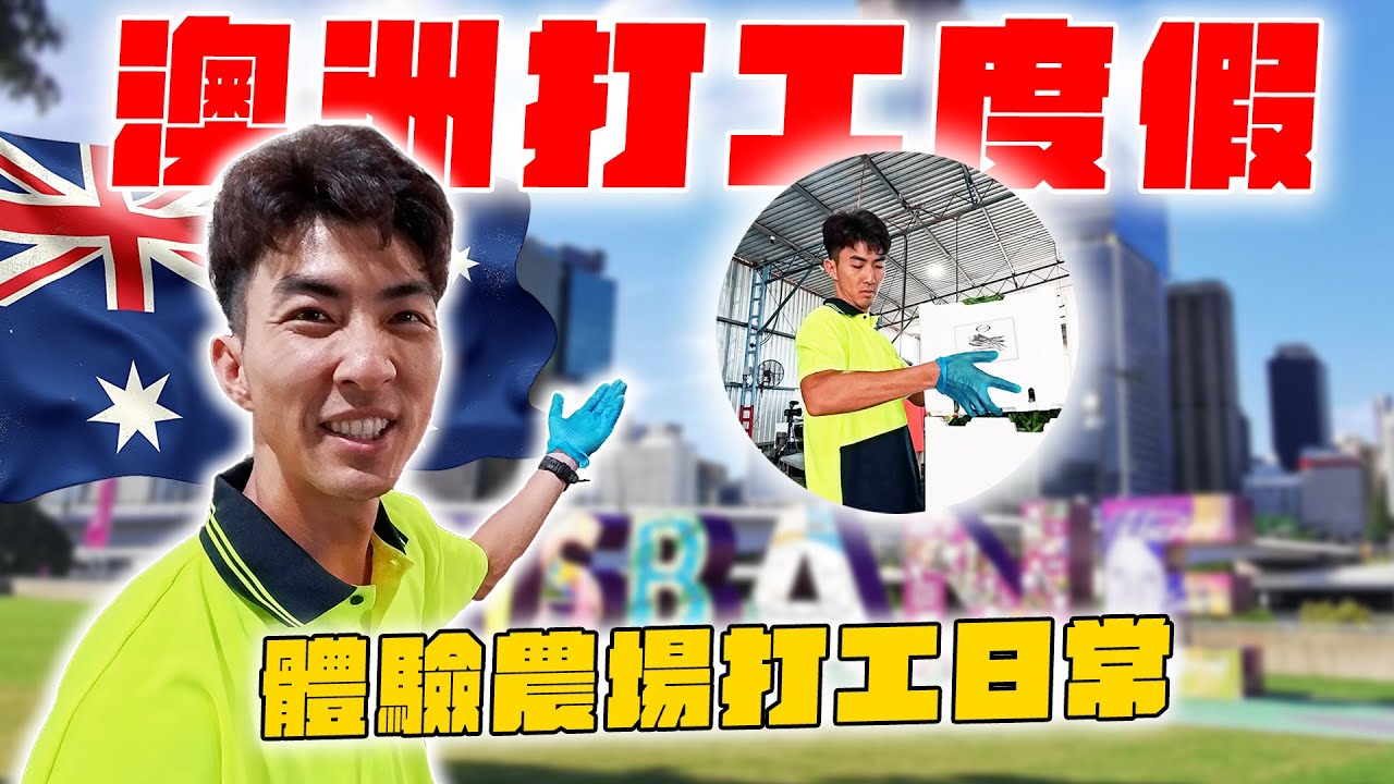 我到澳洲打工度假了！比台灣工作好賺又輕鬆？！