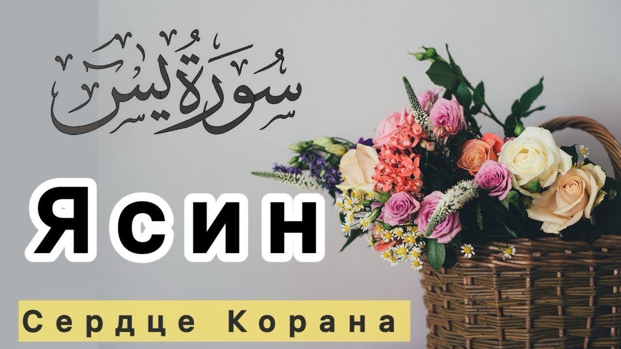 Ясин (СЕРДЦЕ КОРАНА) СЛУШАЙТЕ КАЖДЫЙ ДЕНЬ.