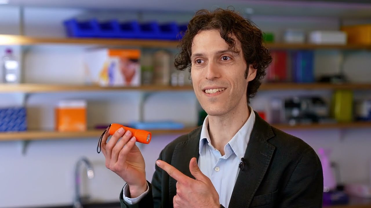 The Power of DNA and Genetic Insights