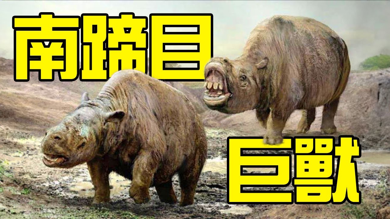 有史以來最奇怪的動物，大腦袋，大齙牙，連達爾文看了都犯迷糊丨古獸01丨獸族時代