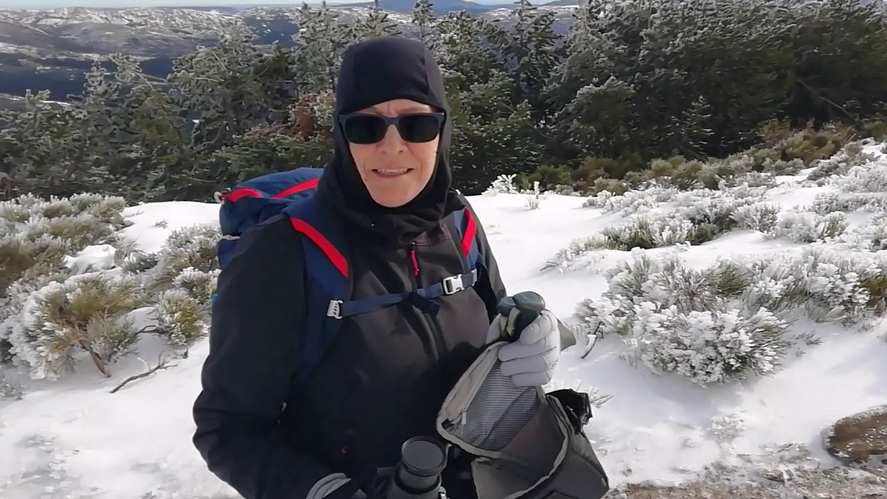 puerto de la quesera-pico del lobo con nieve