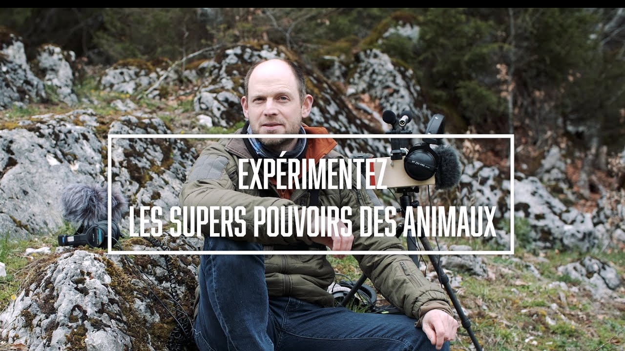 Quels micro pour la nature ? Hooting - Mon matériel d'écoute et d'enregistrement audio binaural