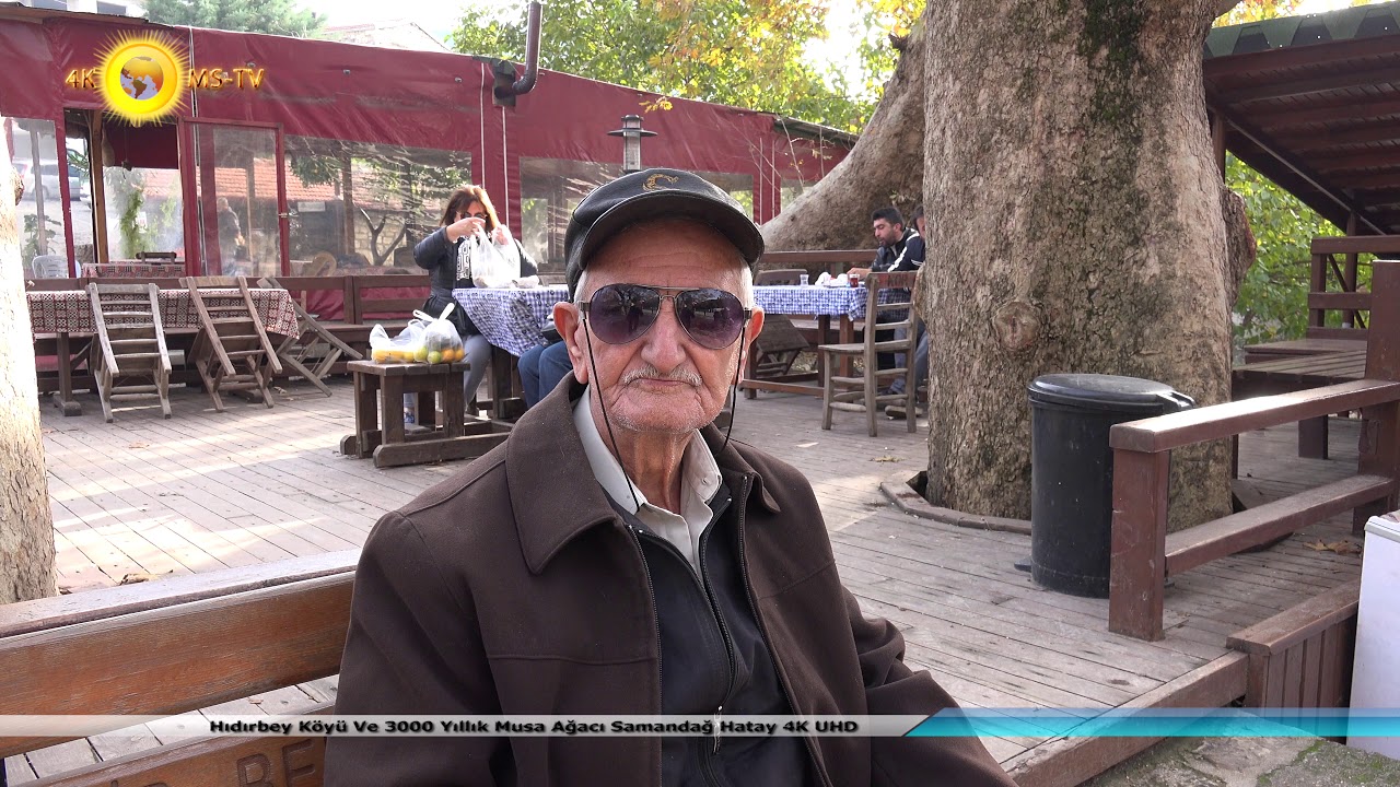 Hıdırbey Köyü Ve 3000 Yıllık Musa Ağacı Samandağ Hatay 4K UHD
