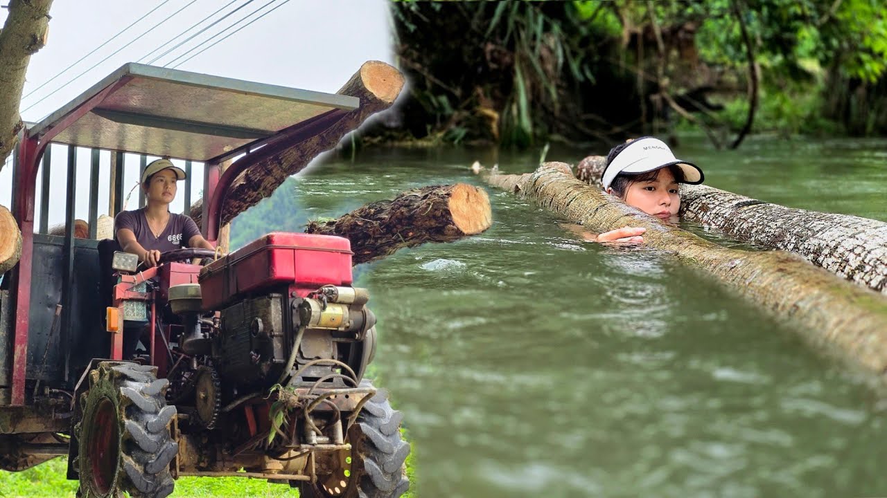 Agricultural truck and girl transporting wood across the river almost drowned#agricultural#woodtruck