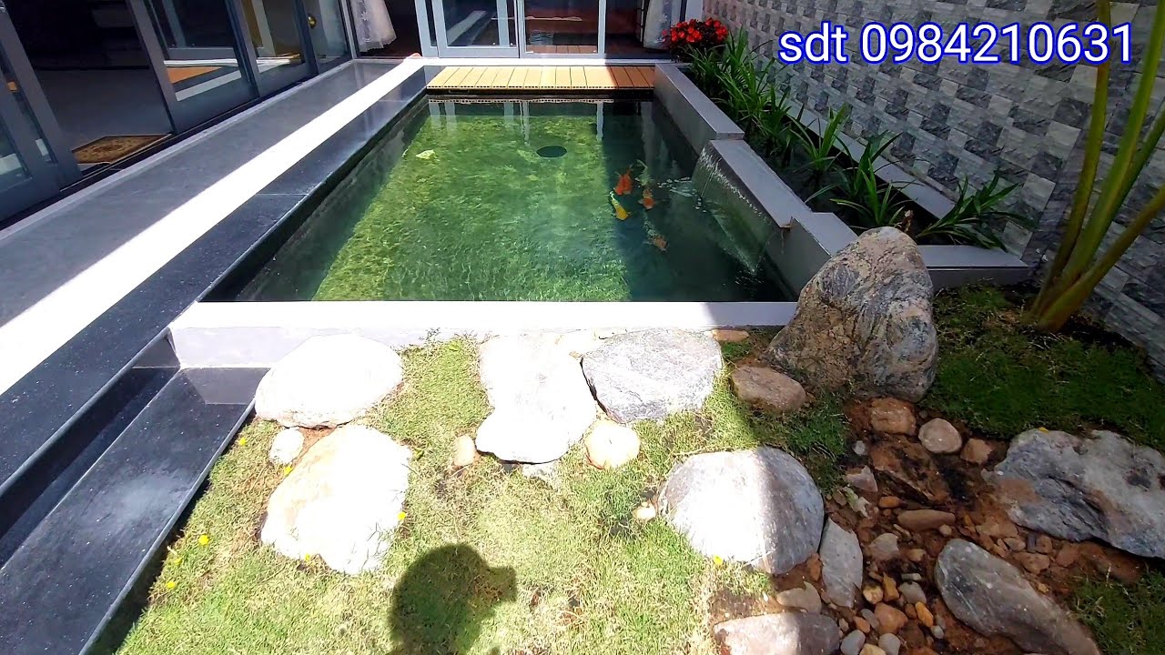 Hồ koi phong cách hiện đại với bộ lọc bán tự nhiên