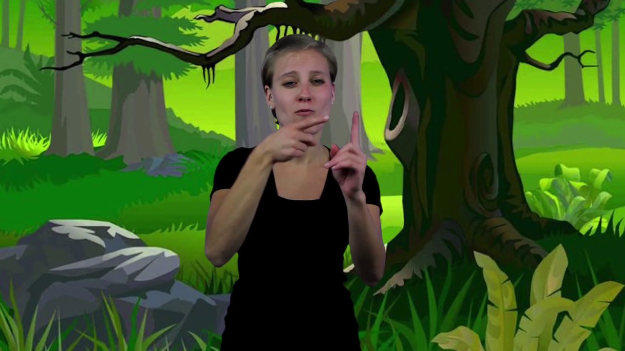 ASL Story: The Lion & The Mouse