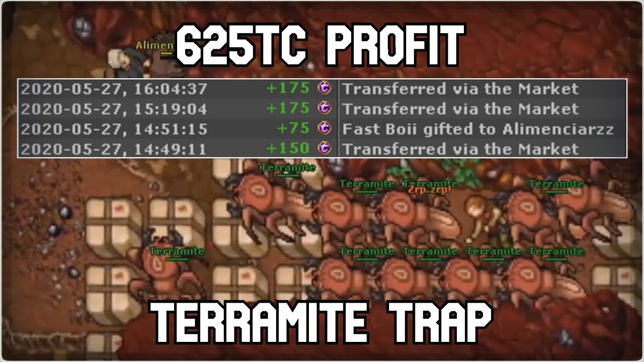 [8 level] vs How to make 625 Tibia Coins / Jak zarobić na / New Server #tibia
