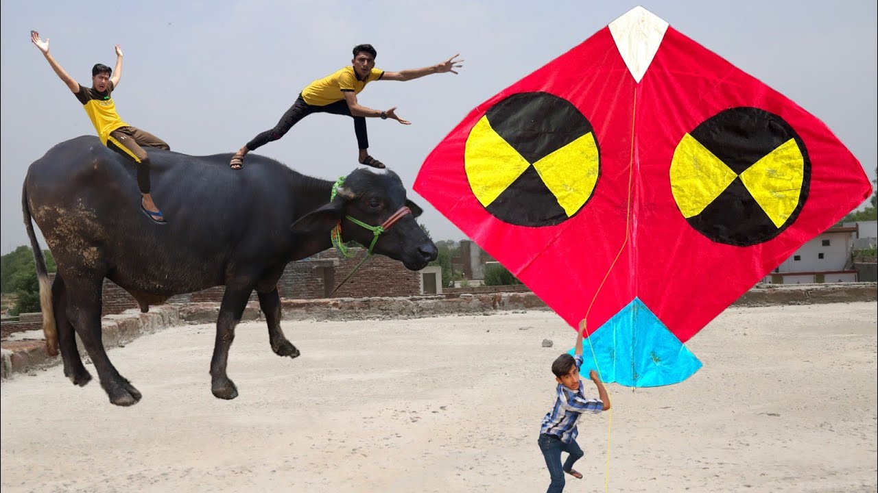 Cutting Gudda Nasir Vs Nasir Cow Caught 2023