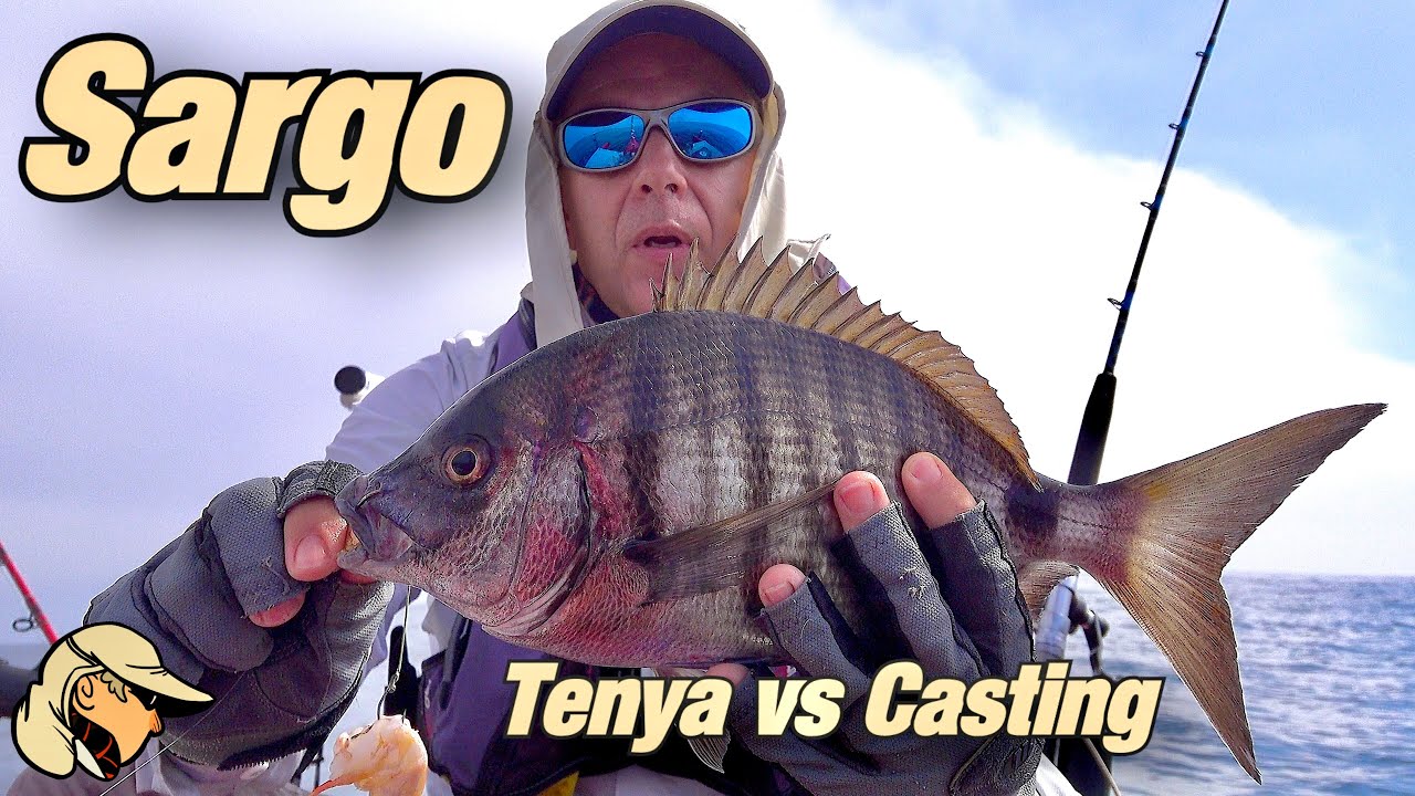 Sargo (white seabream ) Fishing  - Tenya vs  Casting  - Fishing techniques