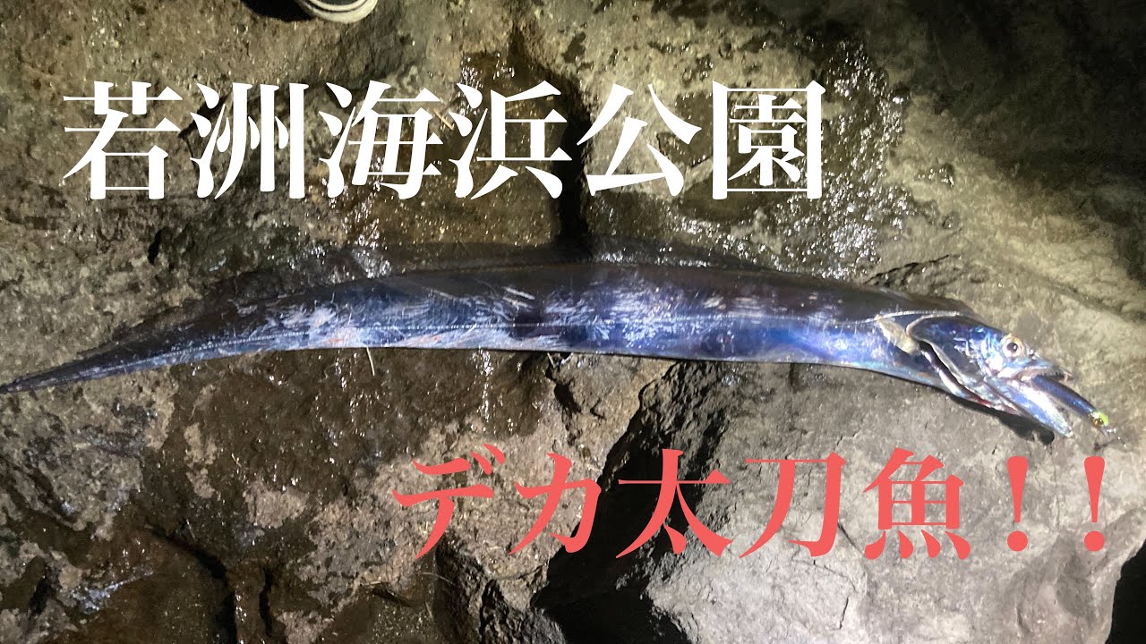 【若洲海浜公園】F5！東京湾奥でもデカ太刀魚が釣れる！
