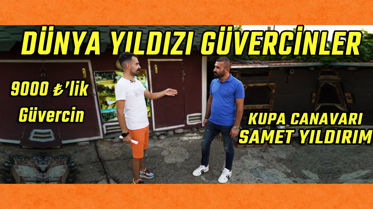 1 Metreyle Birinciliği Kaçıran Güvercin! | Kupa Canavarı Samet Yıldırım Kümes Ziyareti | Ala Türkiye
