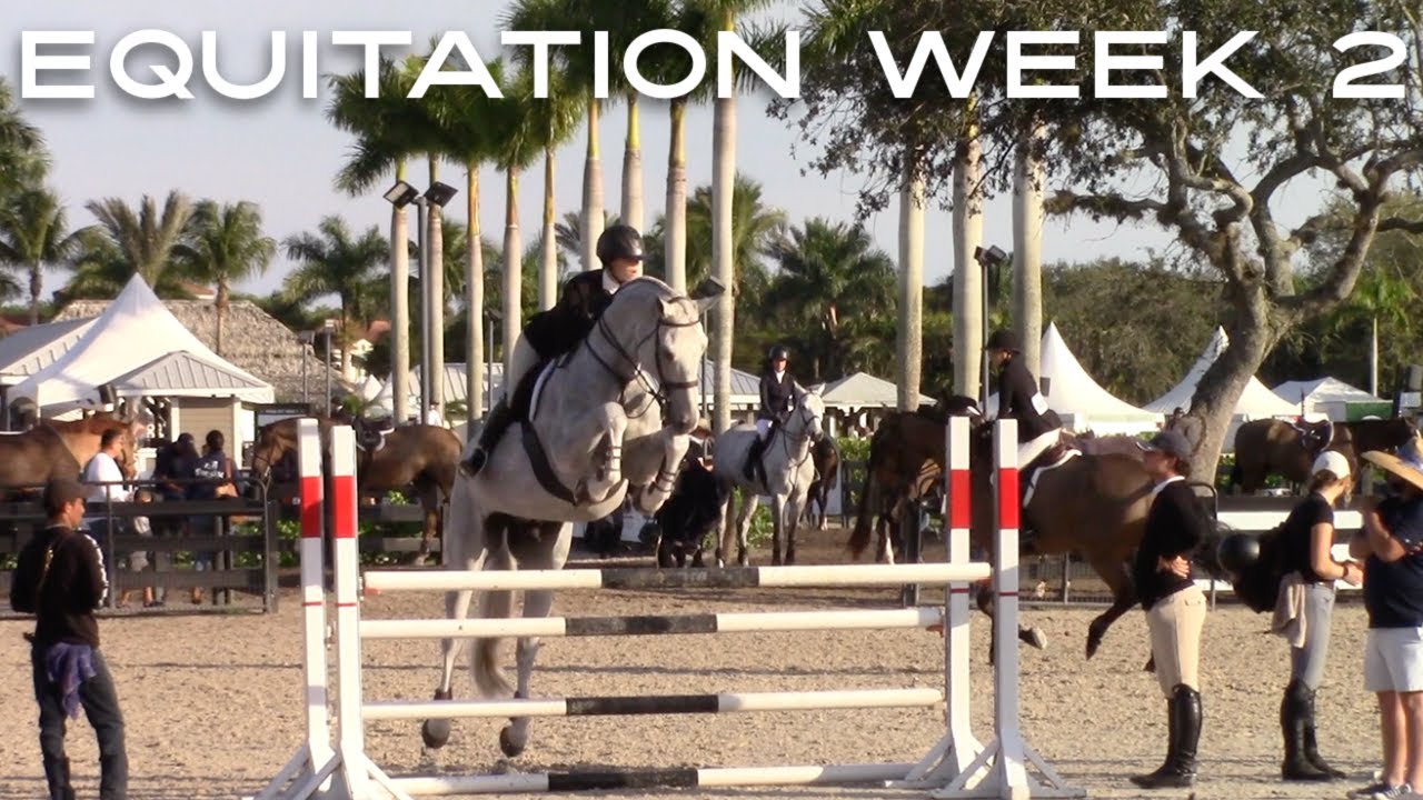 Showing in the Malcay at WEF!