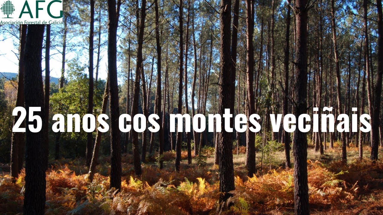 25 anos cos montes veciñais
