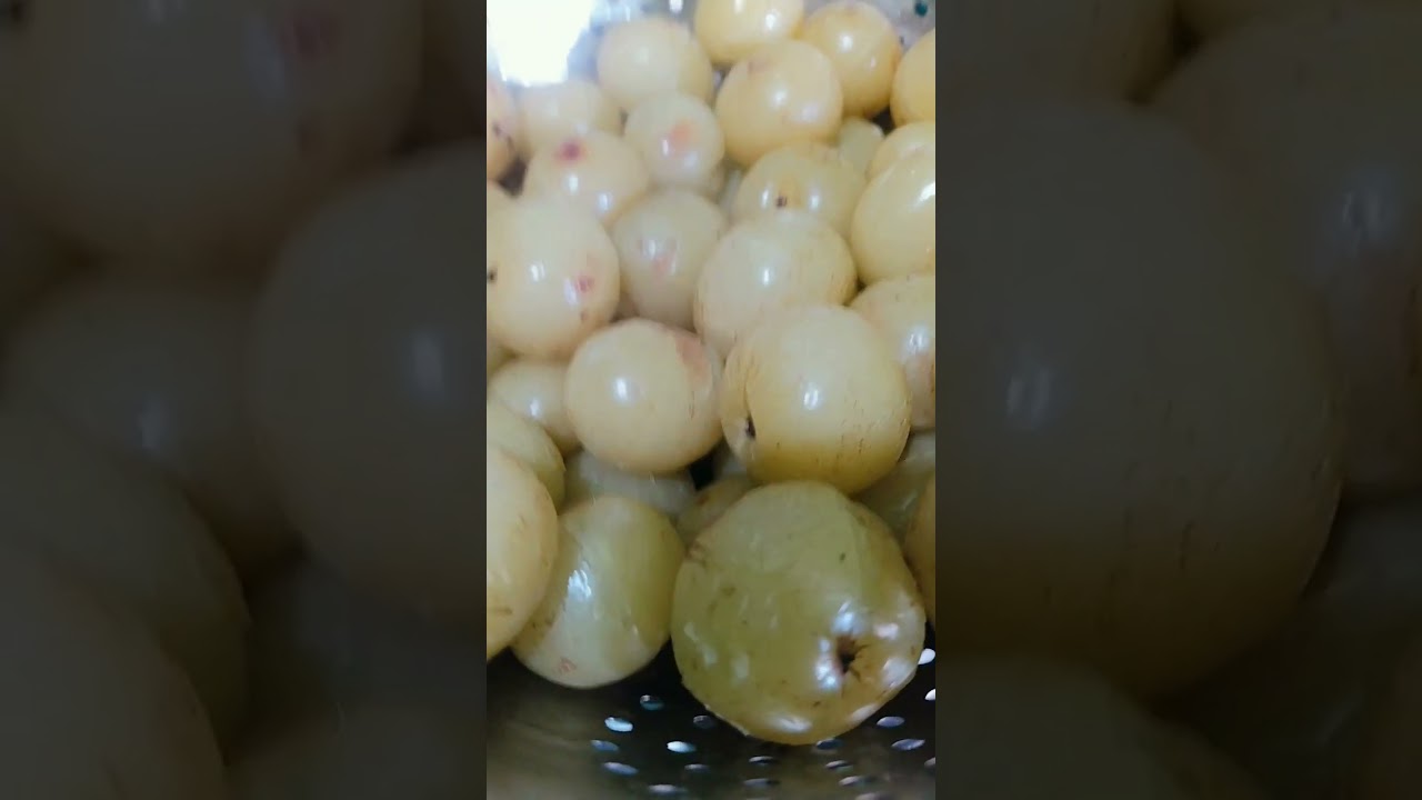 Amala #ytshorts