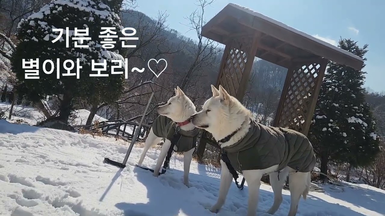 사랑으로(트럼펫 연주)