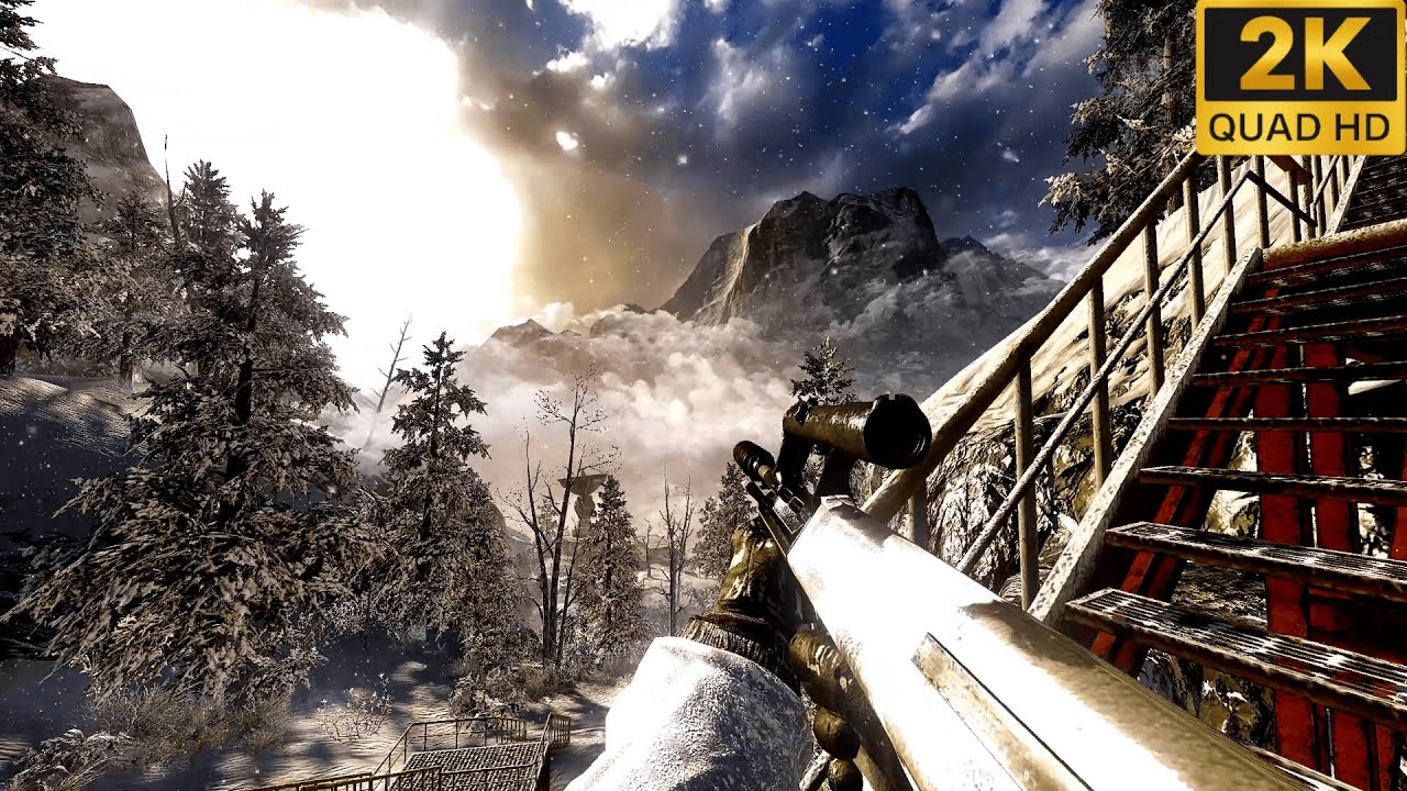 Black Ops 1: WMD | No Damage Canon Run | Cinematic Realism Gameplay (2K 60FPS No HUD)