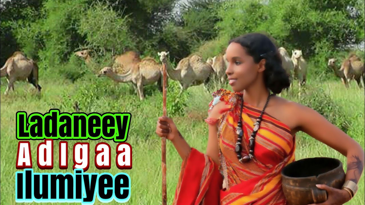 Wahan layaabee - Somali music -  Qoomaal yare