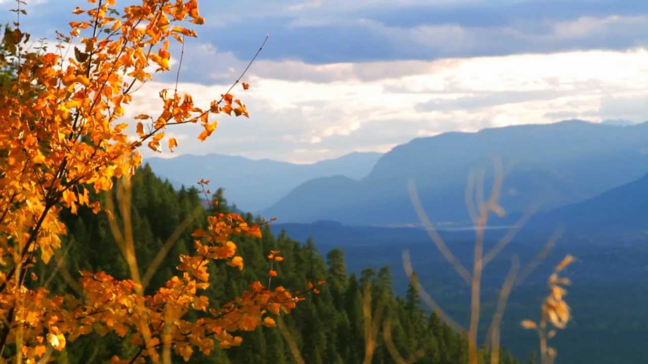 Agalloch - Sowilo Rune (unofficial video)