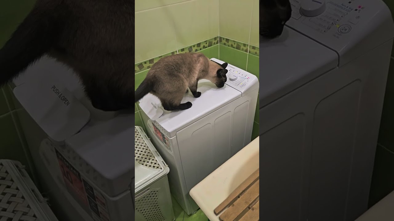 Indesit BTW B7220P EU/N work process