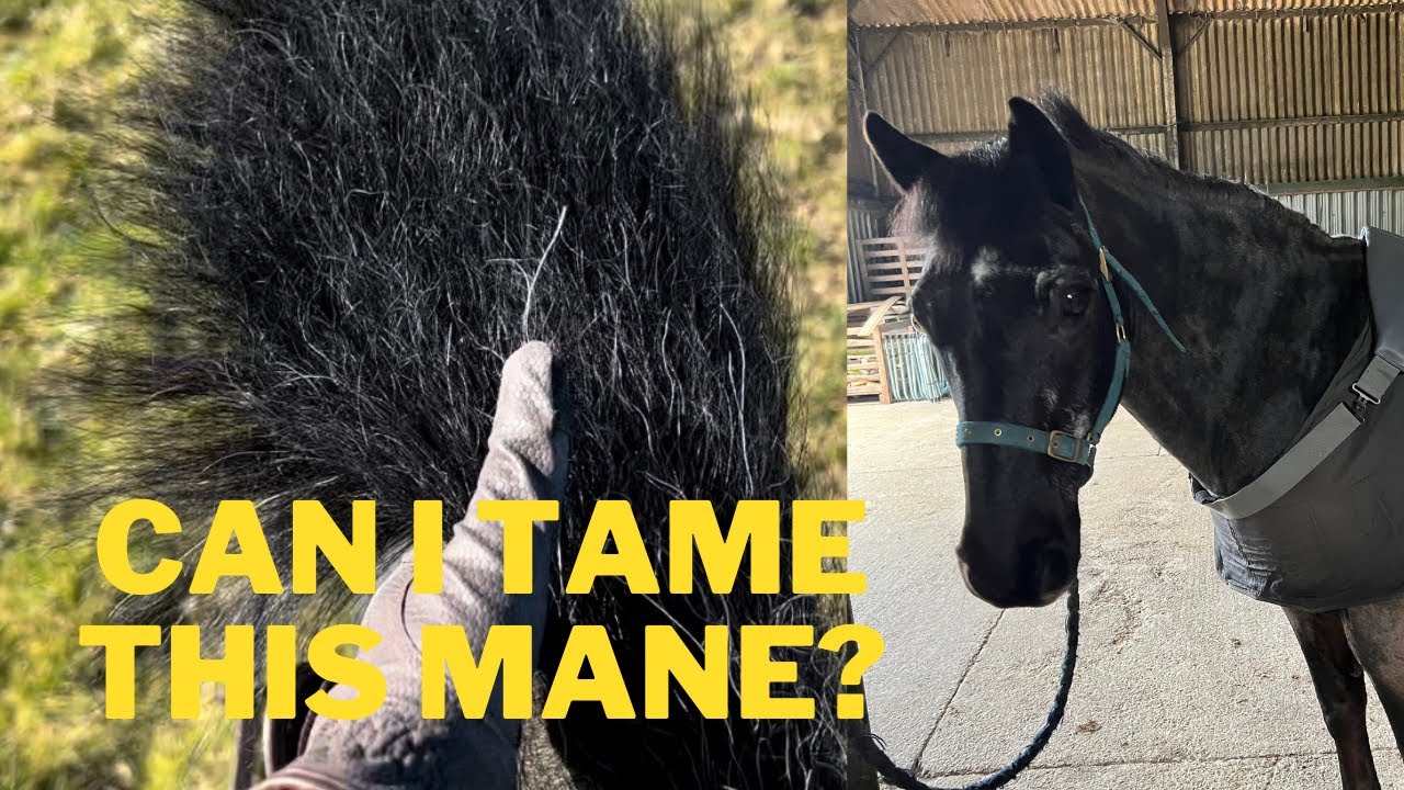How do I thin a thick mane without pulling?