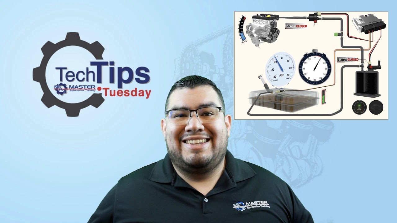 MASTER THE EVAP SYSTEM BASICS 🤓