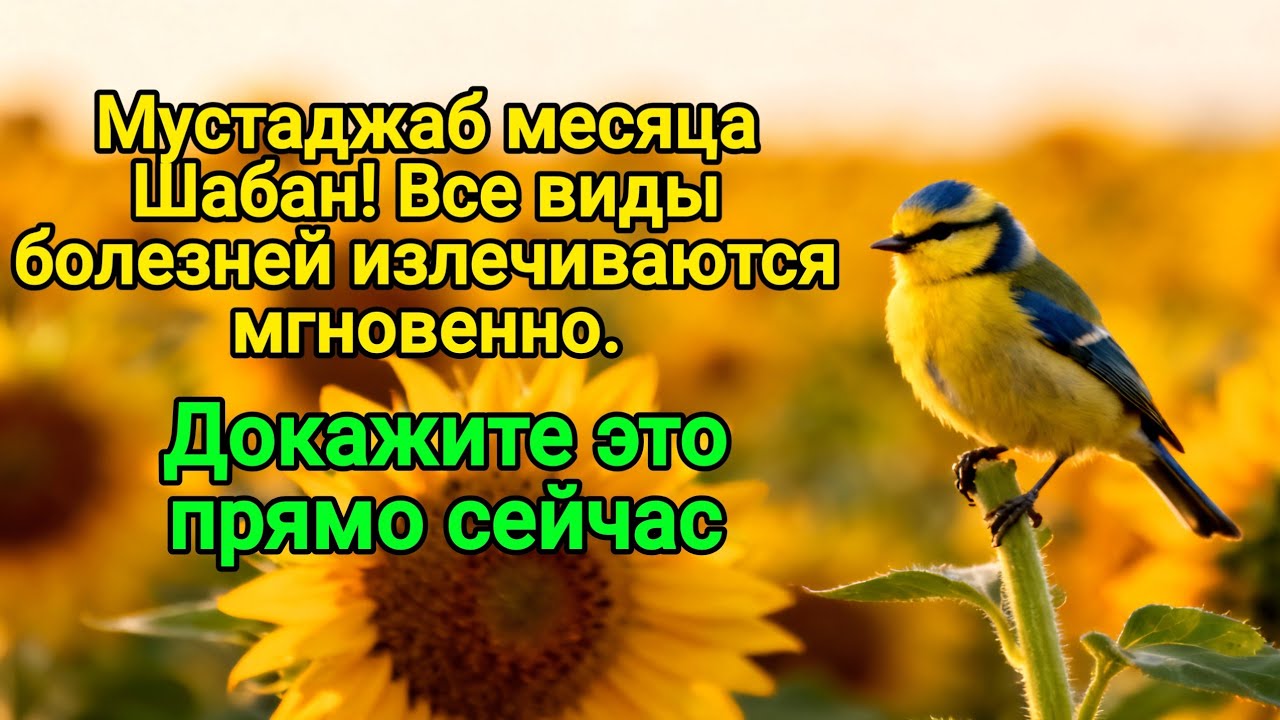 Полезно в месяц Шабан! Все виды болезней излечиваются мгновенно 🤲