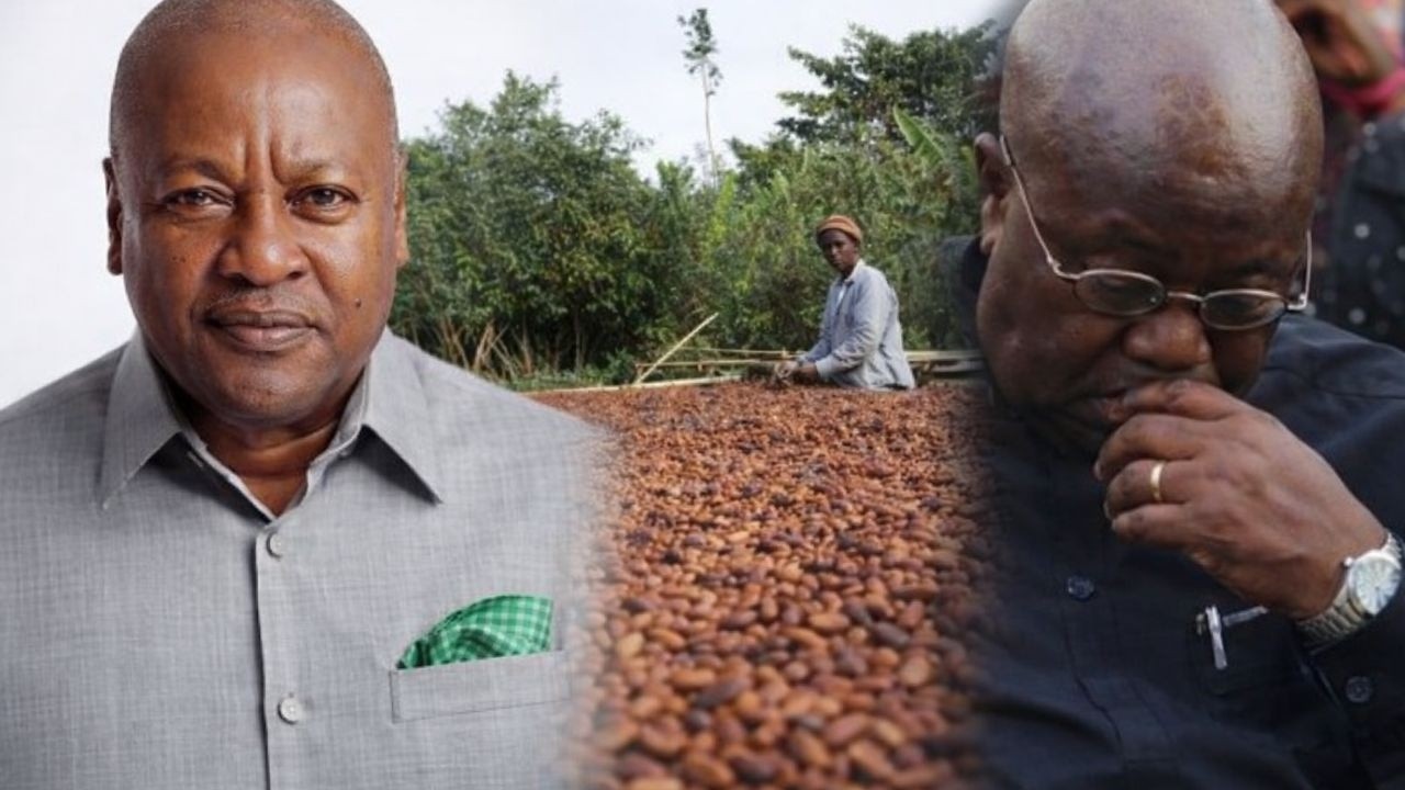 NPP disgraced as Ivory coast cocoa farmers are receiving 1000 cedis for one bag