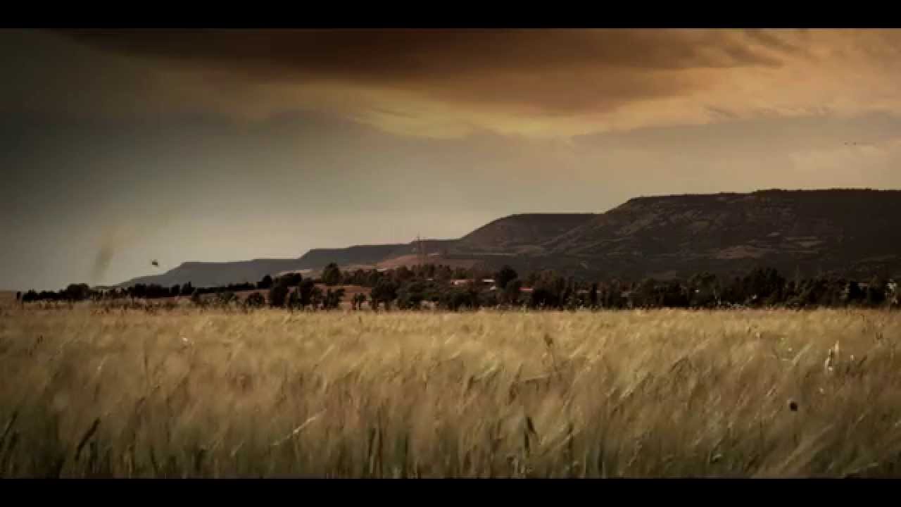 The Giara wild horses