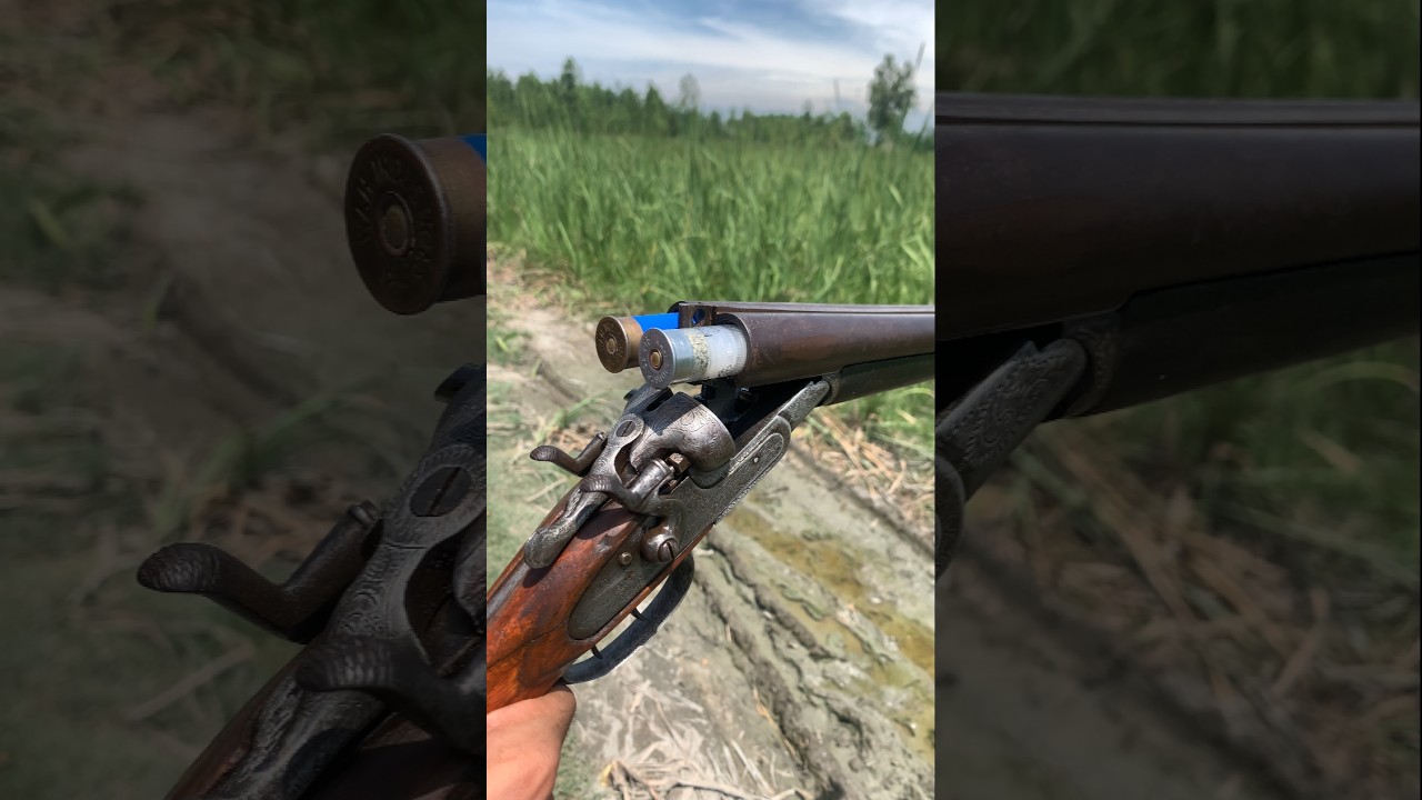 Best 12 Gauge Shotgun for Hunting: A Game-Changer