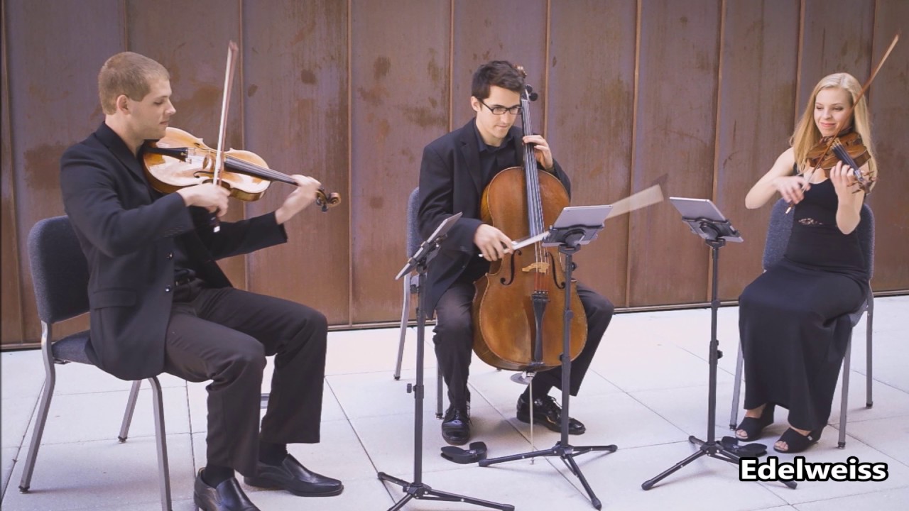 Edelweiss String Trio Cover - EdgeWire Music