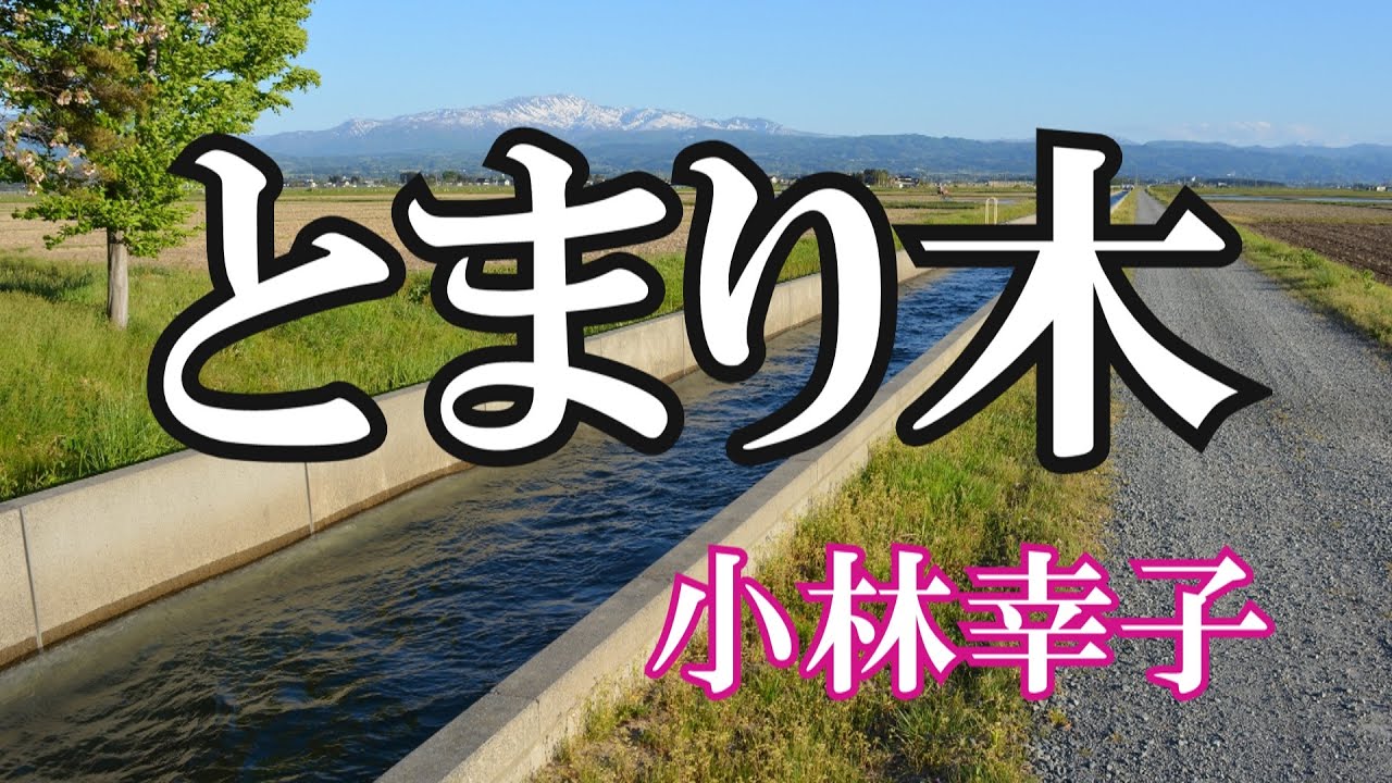 とまり木 / 小林幸子 (歌詞入り)