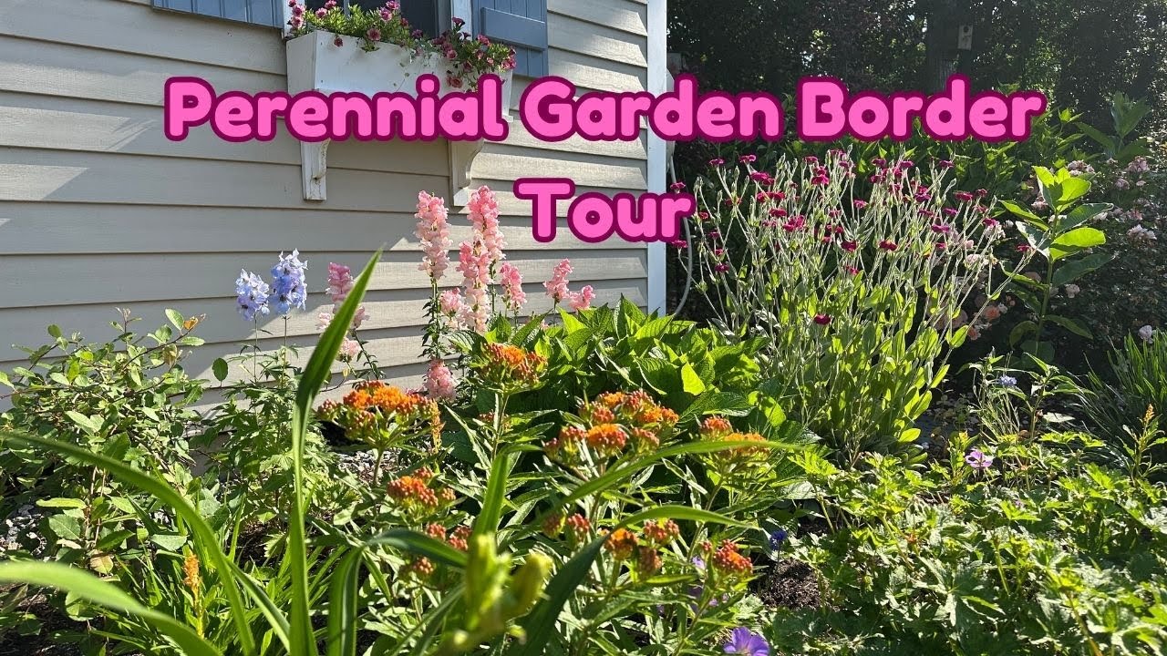 Perennial Border Tour in Late June #capecod #cottagegarden