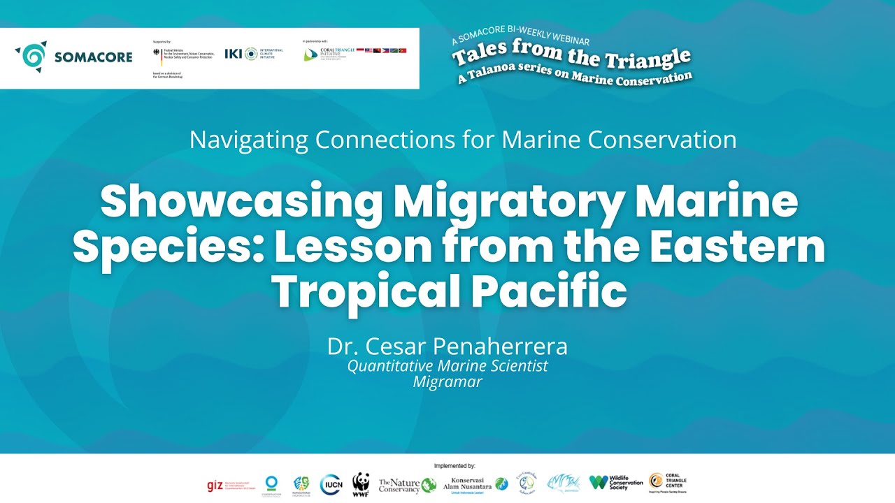Showcasing Migratory Marine Species: Lessons from the Eastern Tropical Pacific