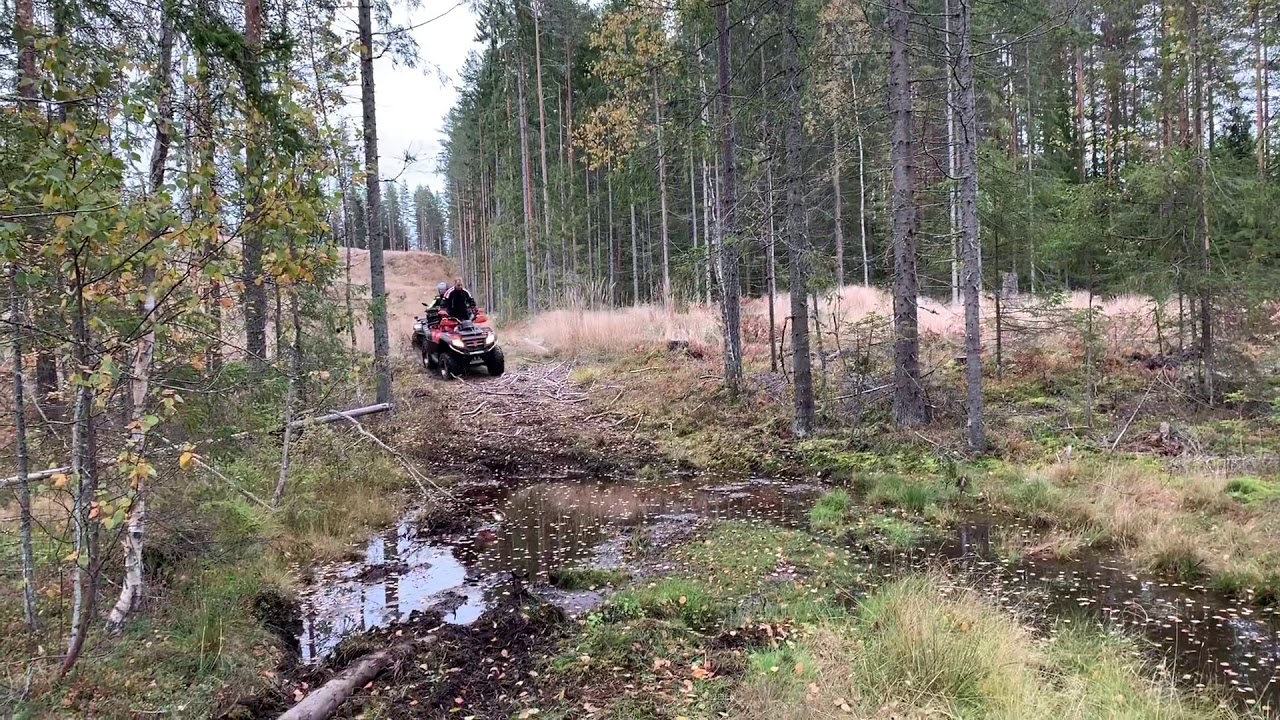 ATV offroad Cfmoto 800/500 and Fiddy 125