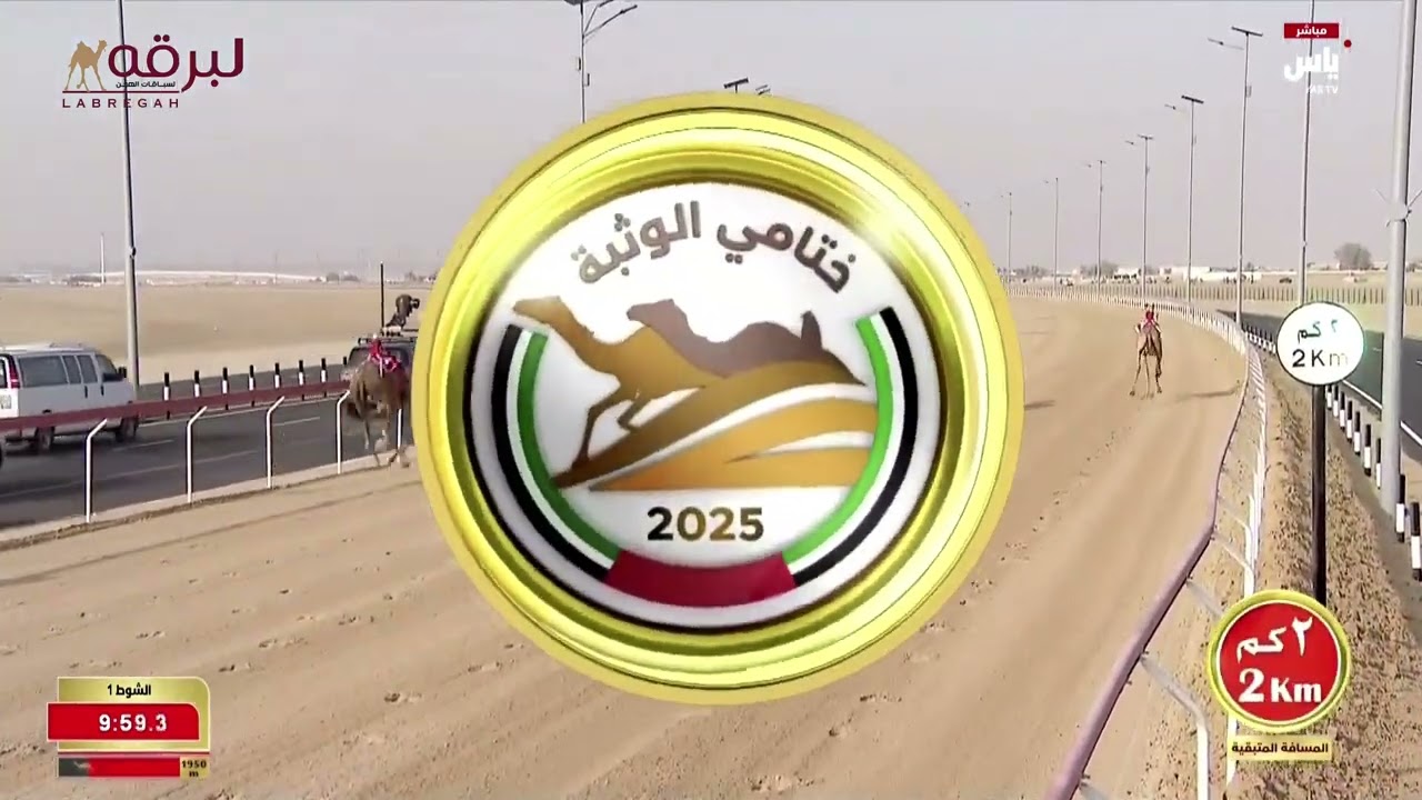 ش1 الشبابي لـ هجن الرئاسة (حمدان محمد مروشد) مهرجان ختامي الوثبة 20-05-2025م بندقية الزمول 12:41:34