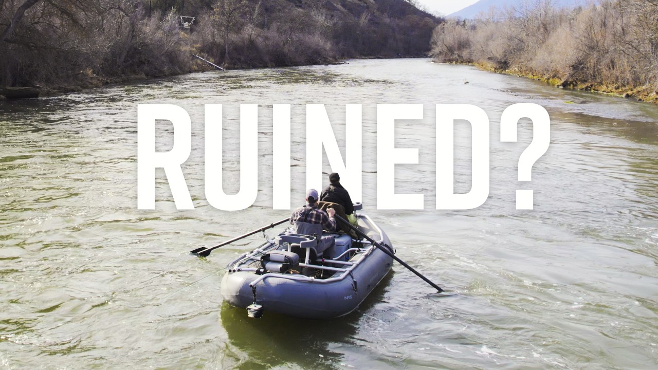 The Klamath is healing but have the Steelhead returned?