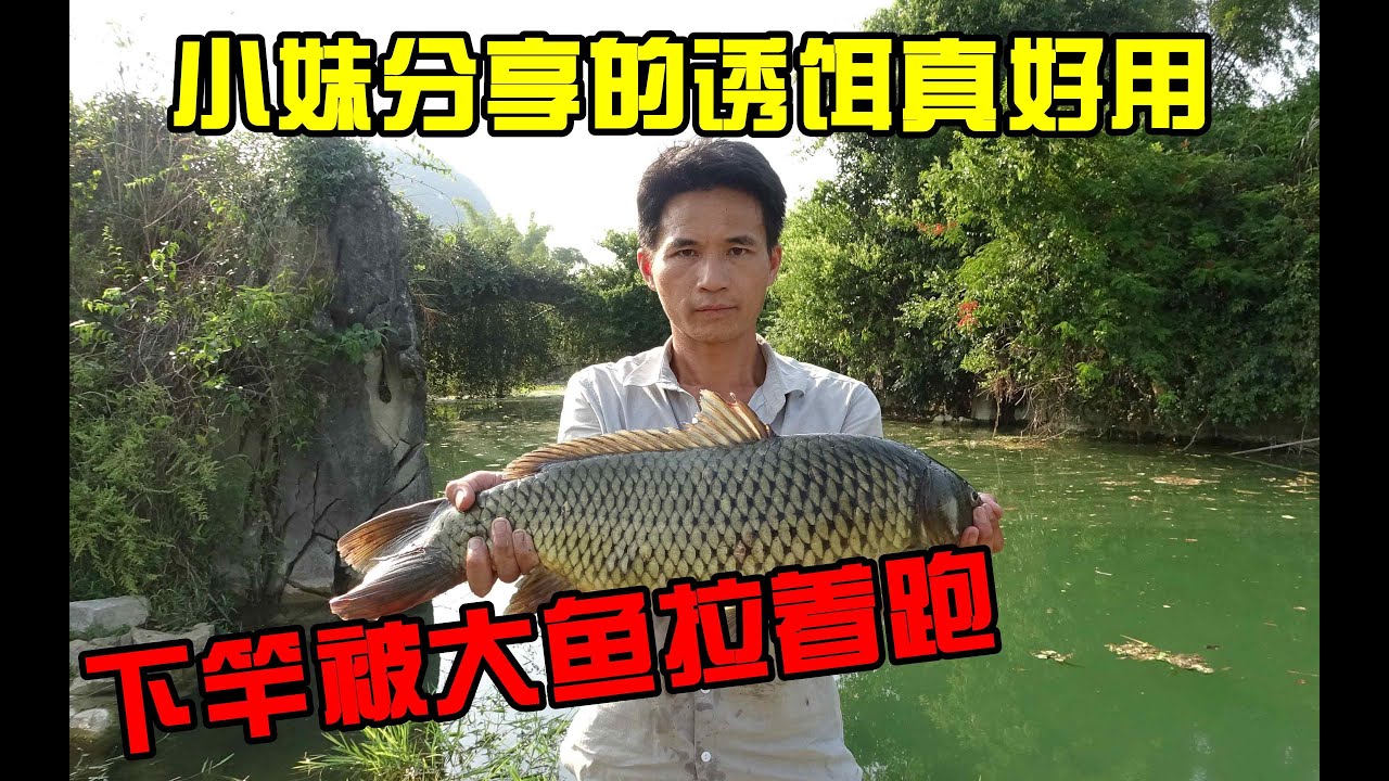 农村美女分享的诱饵去钓鱼，被大鱼拉着跑，杆子弯成130度，浮出水面像头小猪【壮乡小莫】