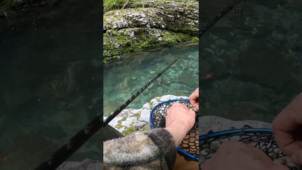 Pesca e rilascio di una trota fario dentro un canyon!