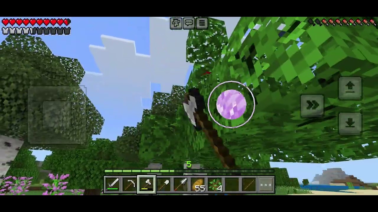 MY MINECRAFT ADVENTURE PART 4