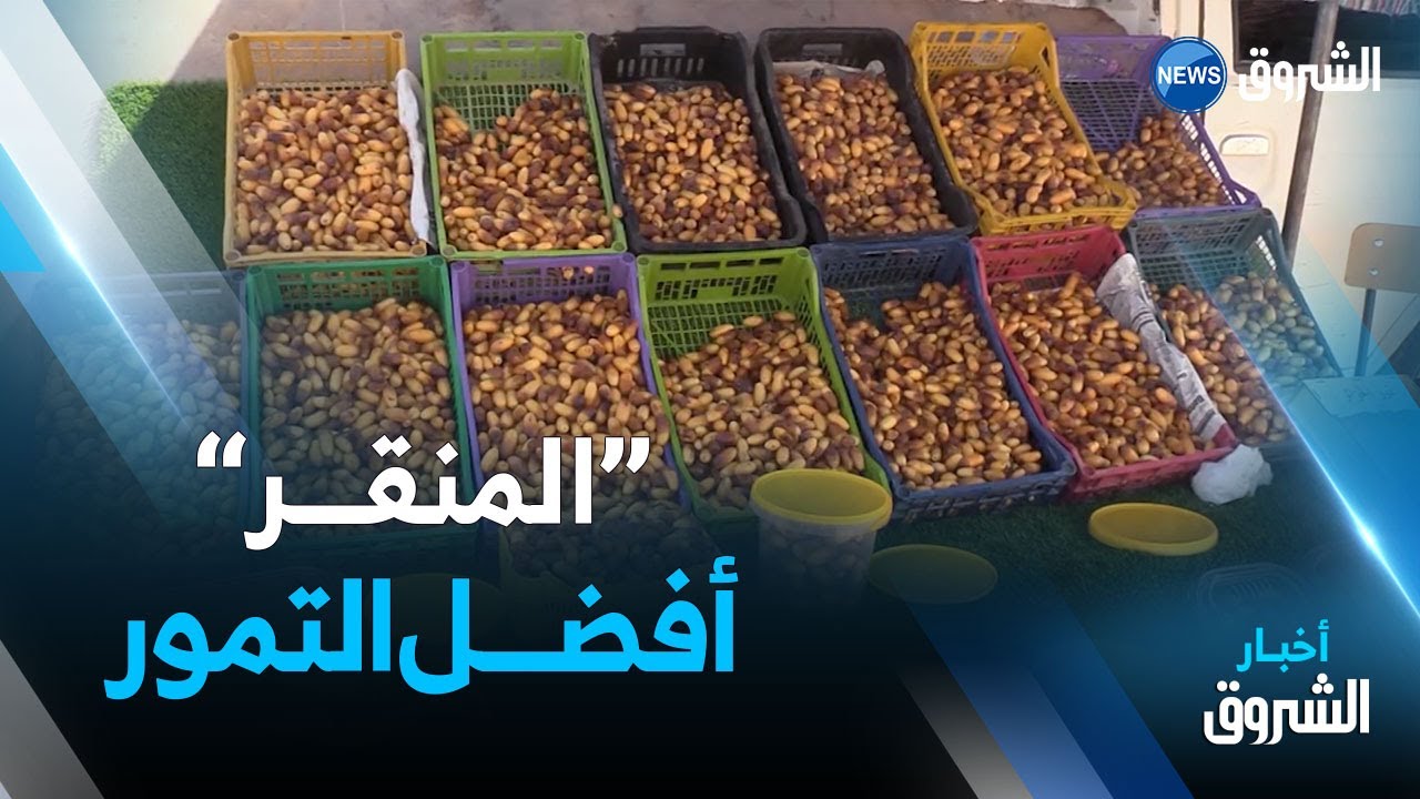 أولاد جلال | بيع المنقر..مهنة موسمية يمارسها شباب بلدية الدوسن