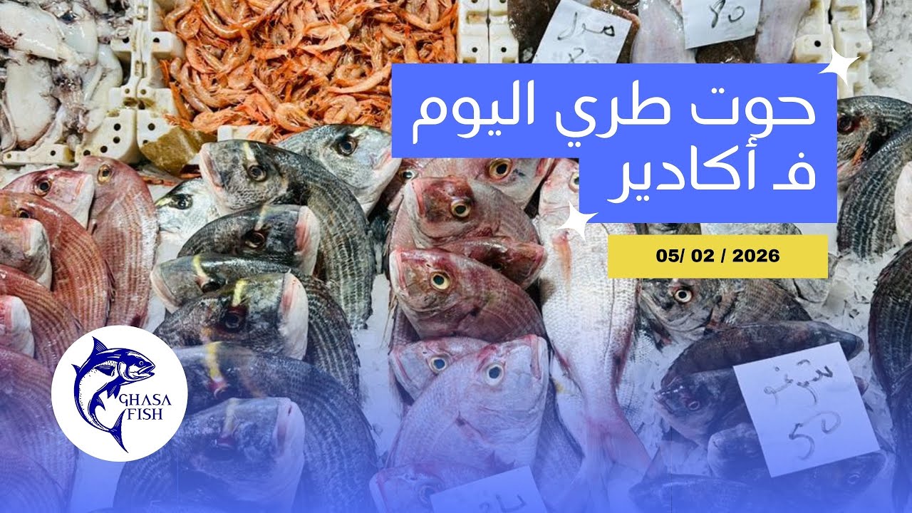 حوت طري اليوم فأكادير 05 فبراير 
