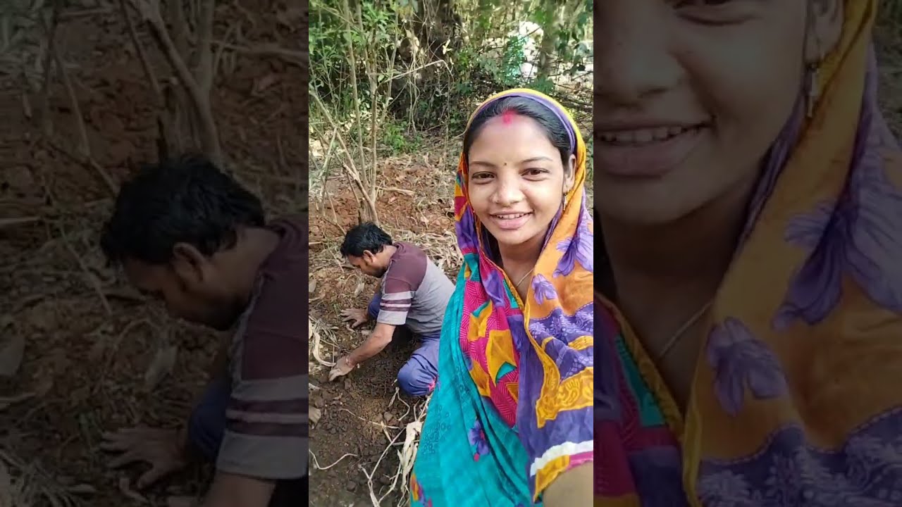 ହଳଦୀ ଚାଷ ବିନା ପରିଶ୍ରମ ରେ ଲାଭ କେତେ ? 😱😱 #trending #shortvideos #minivlog #newvlog #youtubeviral #yt 