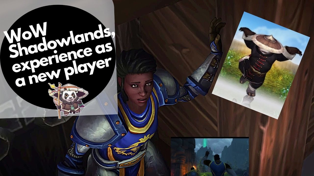 World of Warcraft Shadowlands 2022  how to start as a new player!!