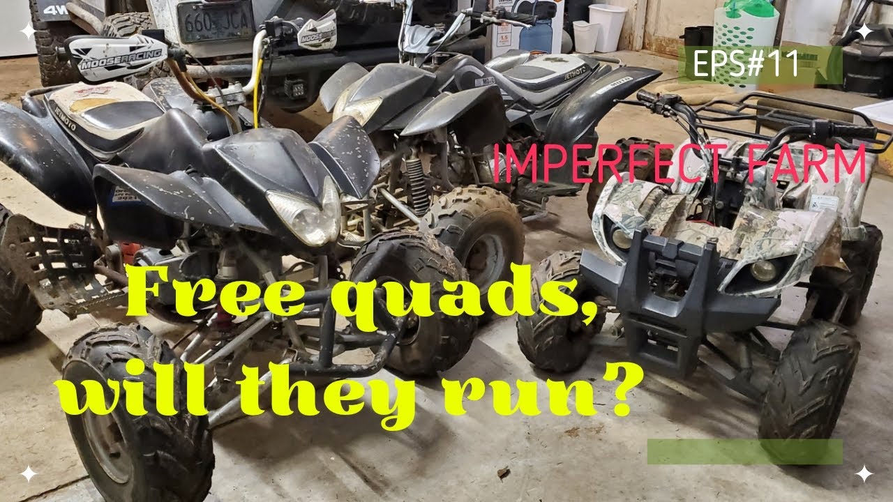 Free Quads, 150cc and 125cc, will they run? Part 1?